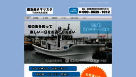 What Tamaturi.com website looked like in 2020 (3 years ago)