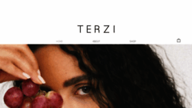 What Terzidesigns.com website looked like in 2020 (3 years ago)