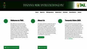 What Tmx.co.tz website looked like in 2020 (3 years ago)