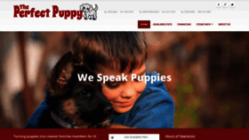 What Theperfectpuppyri.com website looked like in 2020 (3 years ago)