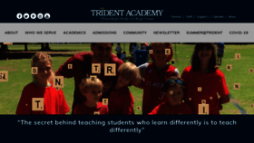 What Tridentacademy.com website looked like in 2020 (3 years ago)