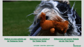 What Tibetaanse-terrier.eu website looked like in 2020 (3 years ago)