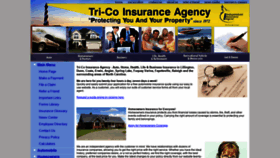 What Trico-ins.com website looked like in 2020 (3 years ago)