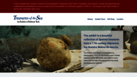 What Treasuresofthesea.org website looked like in 2020 (3 years ago)