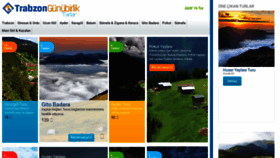 What Trabzongunubirlikturlar.com website looked like in 2020 (3 years ago)