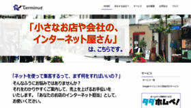 What Terminus.co.jp website looked like in 2020 (3 years ago)