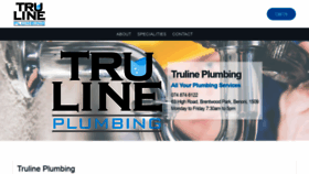 What Trulineplumbing.co.za website looked like in 2020 (6 years ago)