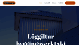 What Tresmidir.is website looked like in 2020 (5 years ago)