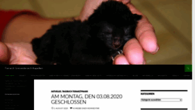 What Tierarztimpressionen.de website looked like in 2020 (3 years ago)