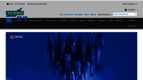 What Tesro.ca website looked like in 2020 (3 years ago)