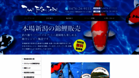 What Tanikoi.com website looked like in 2020 (3 years ago)