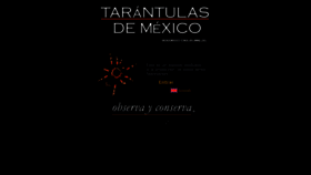 What Tarantulasdemexico.com website looked like in 2020 (3 years ago)