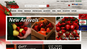 What Totallytomato.com website looked like in 2020 (3 years ago)
