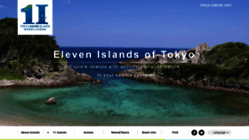 What Tokyo-islands.com website looked like in 2020 (3 years ago)
