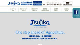 What Tsujiko.jp website looked like in 2020 (3 years ago)