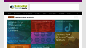 What Teknolojisende.com website looked like in 2020 (3 years ago)