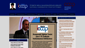 What Turkey.coop website looked like in 2020 (3 years ago)