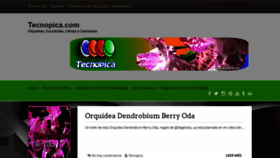 What Tecnopica.com website looked like in 2020 (3 years ago)