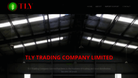 What Tlytrading.com website looked like in 2020 (3 years ago)