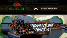 What Theblackhammock.com website looked like in 2020 (3 years ago)