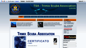 What Tsaeurope.com website looked like in 2020 (3 years ago)