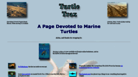 What Turtles.org website looked like in 2020 (3 years ago)