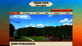 What T-zori.ru website looked like in 2020 (3 years ago)