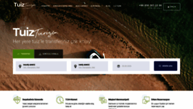What Tuizturizm.com website looked like in 2020 (4 years ago)