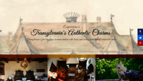 What Transylvaniancastle.com website looked like in 2020 (3 years ago)