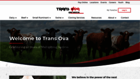 What Transova.com website looked like in 2020 (3 years ago)