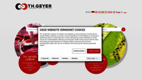 What Thgeyer.de website looked like in 2020 (3 years ago)