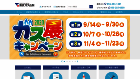 What Tgyn.co.jp website looked like in 2020 (3 years ago)