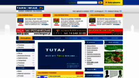 What Tarnowiak.pl website looked like in 2020 (3 years ago)