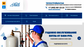 What Tsm-company.ru website looked like in 2020 (3 years ago)