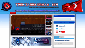 What Tos.org.tr website looked like in 2020 (4 years ago)
