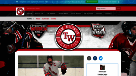 What Teamwisconsin.net website looked like in 2020 (5 years ago)