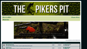 What The-pikers-pit.co.uk website looked like in 2020 (3 years ago)