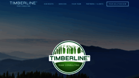What Timberlineteam.com website looked like in 2020 (3 years ago)