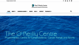 What Theoreillycentre.ie website looked like in 2020 (3 years ago)