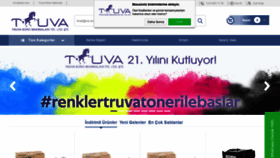 What Truvatoner.com website looked like in 2020 (3 years ago)