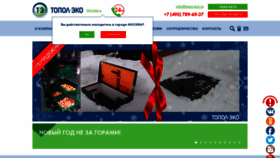 What Topol-eco.ru website looked like in 2020 (3 years ago)