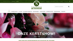 What Tcdeschouw.nl website looked like in 2020 (3 years ago)