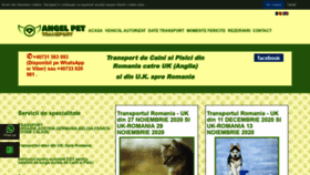 What Transportcainisipisici.ro website looked like in 2020 (3 years ago)