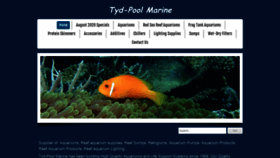 What Tydpoolmarine.com website looked like in 2020 (3 years ago)