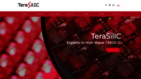 What Terasilic.com website looked like in 2020 (3 years ago)