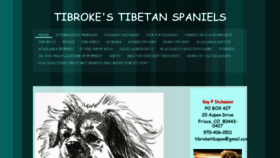 What Tibroke.com website looked like in 2020 (3 years ago)