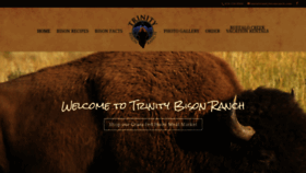 What Trinitybisonranch.com website looked like in 2020 (3 years ago)