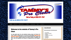 What Tammysprocleaning.com website looked like in 2020 (3 years ago)