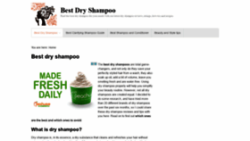 What Thebestdryshampoo.com website looked like in 2020 (3 years ago)