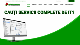 What Tulip.ro website looked like in 2020 (4 years ago)